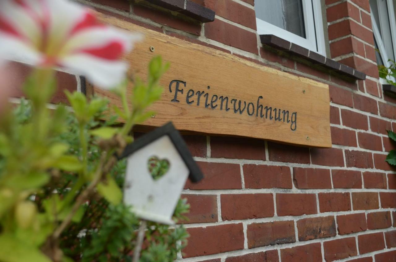 Fewo Deichblick Wischhafen Экстерьер фото
